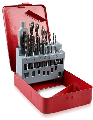 Gewindeschneider Set - 16-teilig Maschinengewindebohrer mit Metallkassette, HSS Stahl Gewindeschneid Gewindebohrer Satz M 3 - M 12 inkl. Einschnittgewindebohrer, Kernlochbohrer, Windeisen