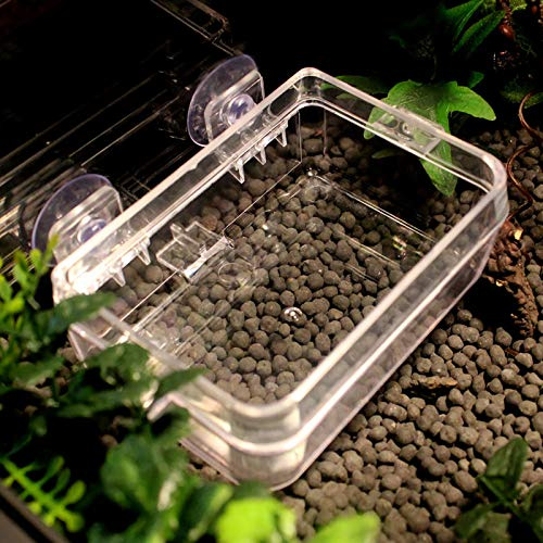 Bol alimentaire transparent anti-fuite pour bassin en ABS non toxique, pour sous-crovitement et nourriture vivante