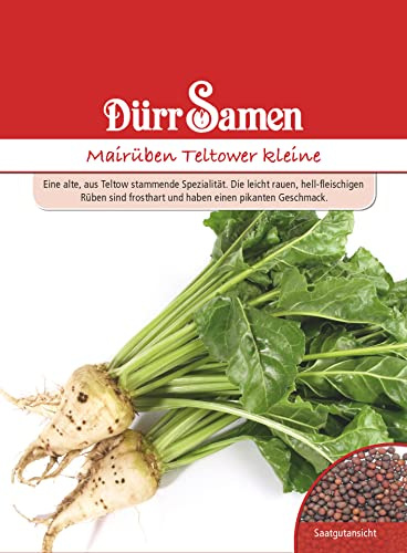 Mairüben Samen Teltower Mairübensamen Rübensamen Helle Rüben ca 200 Korn Saatgut Frosthart Gemüse Garten Hochbeet Kübel Dürr Samen