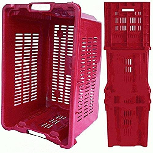 EuroStore07 20 pezzi CASSETTA OLIVE UVA IMPILABILE PLASTICA TRAFORATA STOCCAGGIO 1 PZ 52 X 35 H 31 rossa