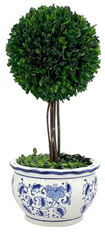 Galt International Árbol topiario de bola de boj preservado naturalmente en maceta de cerámica azul y blanca pintada a mano, decoración del hogar rococó europea, chinoiserie clásica, topiario de 19