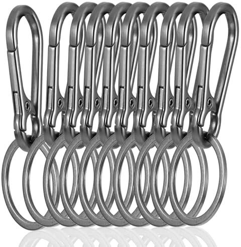 Ravytha 10 Pezzi Moschettone Portachiavi, Moschettoni Portachiavi, Gancio Portachiavi, Portachiavi in Metallo con Moschettone, Moschettone Chiavi per Auto Chiave, Zaino, Viaggiare, Campeggio