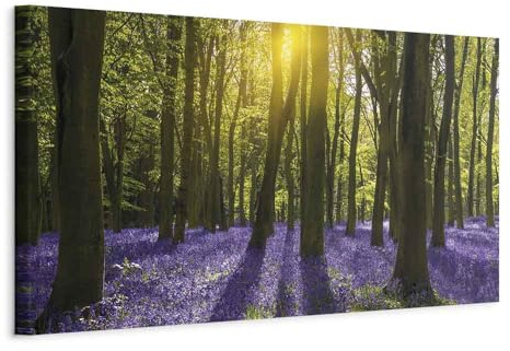artgeist Acoustic Canvas Wall Art Forest 53x18 in - 1pcs Picture with Acoustic Foam Sound Print Artwork Room Acoustics Soundproofing - Forest Landscape Green Tree Purple Flowers c-B-0369-b-a