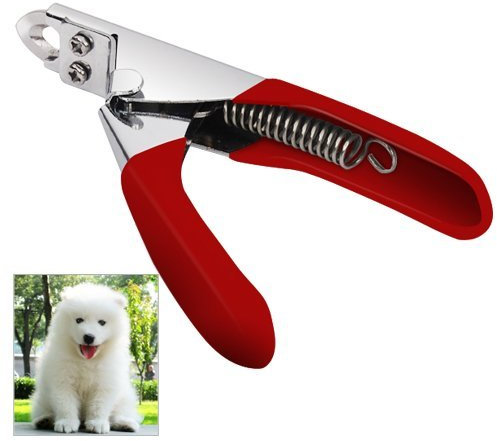 Accessotech Guillotine Pet Nail Clippers – Stainless Steel Claw Trimmer for Dogs, Cats, Birds, Rabbits & Small Pets – Spring-Action, Ultra-Sharp, Non-Scratch, Safe Home Grooming Tool (Red)