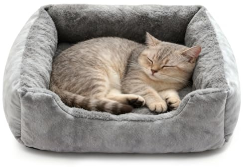 Meenewching Kattsäng, mjuk, 60 x 45 cm, hundsäng, små hundar, tvättbara kattkorgar och hundkorgar med halkfri undersida, husdjurssoffa med hög kant, för valpar och katter, grå