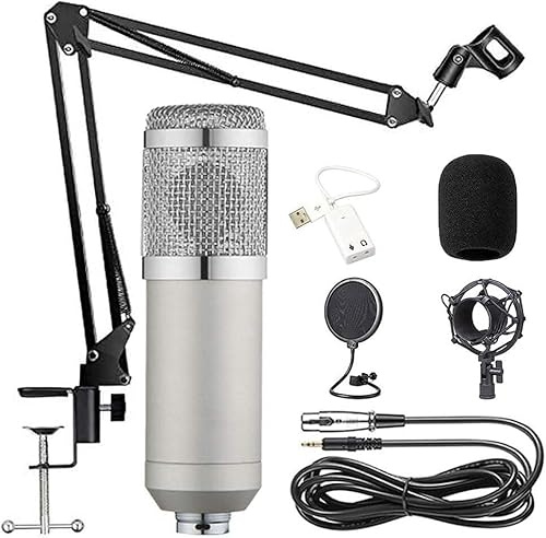 ELzEy Set microfono a condensatore Kit microfono Microfono da gioco for canto karaoke, matrimonio