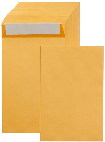 Amazon Basics Self Seal Catalog Mailing Envelopes for Documents, Peel and Seal, 6 x 9, Brown Kraft, 250-Pack