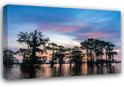 ArtDirect USA-Louisiana-Atchafalaya Basin-Atchafalaya Swamp Cypress trees reflect on at sunrise 40x28 Large Gallery Wrapped Canvas Giclee Art by Jaynes Gallery
