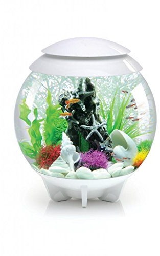 biOrb HALO 30 LED, weiß - 360-Grad Deko-Aquarium / Komplett-Set aus Acryl-Glas mit LED-Beleuchtung, Filter-System und Boden-Keramik