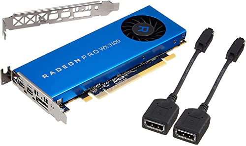 AMD Radeon Pro WX 3100 - Tarjeta gráfica (4 GB)