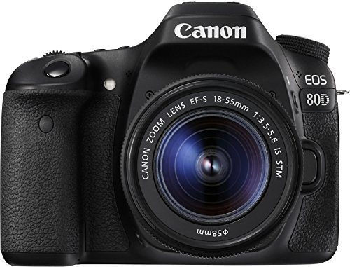 Canon EOS 80D - Cámara réflex digital de 24.2 MP (pantalla táctil de 3, video Full HD, enfoque automático, WiFi) negro - kit cuerpo con objetivo Canon EF 18 - 55 mm f/3.5 - 5.6 IS