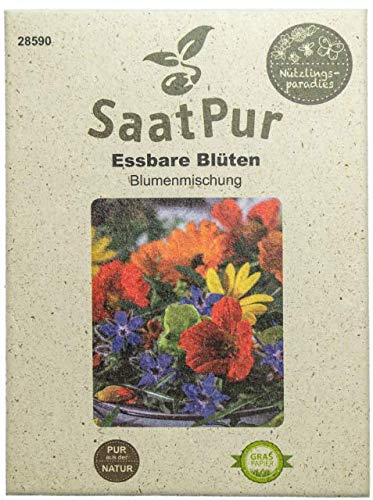 SaatPur Blumenmischung Essbare Blüten Blumenwiese Blumenmischung Blumensaat Bienen Hummel Schmetterlinge