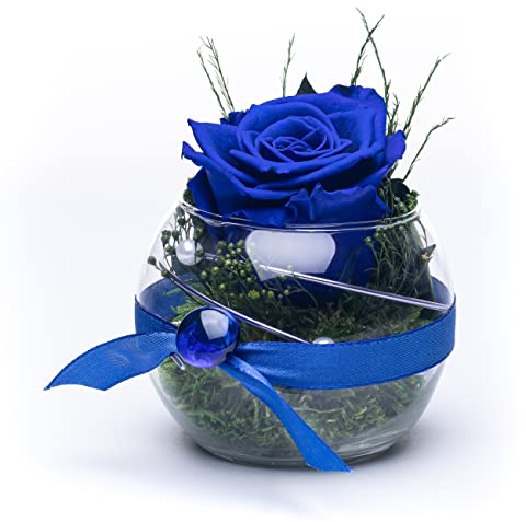 Rosen-Te-Amo - Rosa infinity conservata Blu, profumata, realizzata a mano, regalo per lei per San Valentino, in vaso di vetro con vero fogliame, confezione regalo, decorazione e regalo per donne