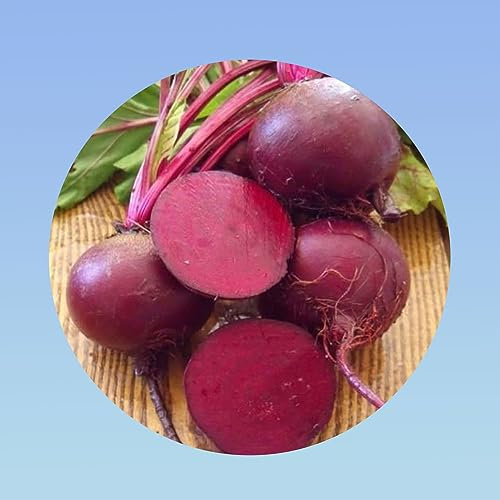 Planète graines - graines de Betterave ronde de detroit - sachet 7 grammes environ 400 graines