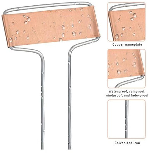 Lot de 10 étiquettes résistantes aux intempéries pour , inclinées à 25 degrés, étiquettes d'identification pour arbres fruitiers et fleurs pour balcon, jardin