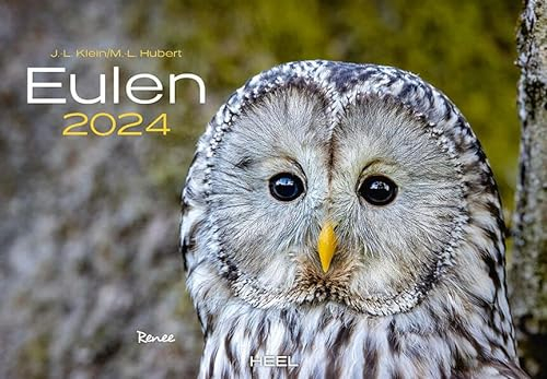 Eulen Kalender 2024: Der Tierkalender mit den charmanten Namen