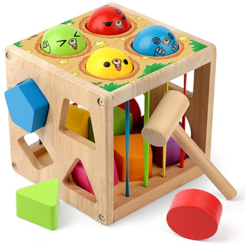 Coogam Wooden Montessori Toys for Toddlers, Shape Sorting Cube Fine Motor Skills Game for Year Old 18 Month+ Baby Boys Girls Gift