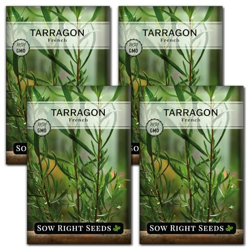 Sow Right Seeds - French Tarragon Seeds for Planting - Non-GMO Heirloom Packet with Instructions to Plant an Outdoor or Indoor Herb Garden - Culinary Leafy Green - Long Lasting Perennial Seasoning (4)