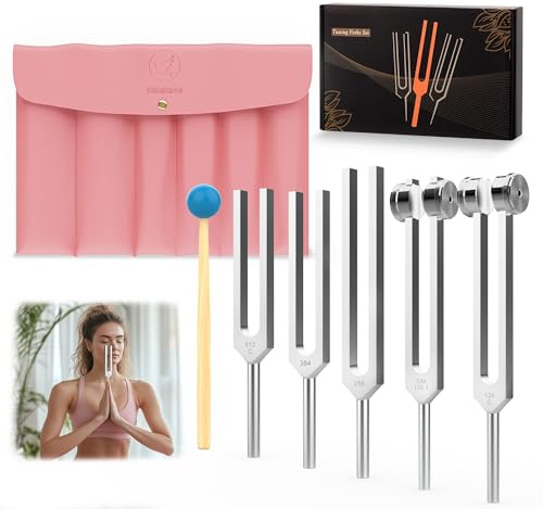 DiDiBirDi Juego de 5 diapasones (128 Hz, 136,1 Hz, 256 Hz, 384 Hz, 512 Hz), con funda de piel sintética y martillo de goma, para yoga, meditación, relajación