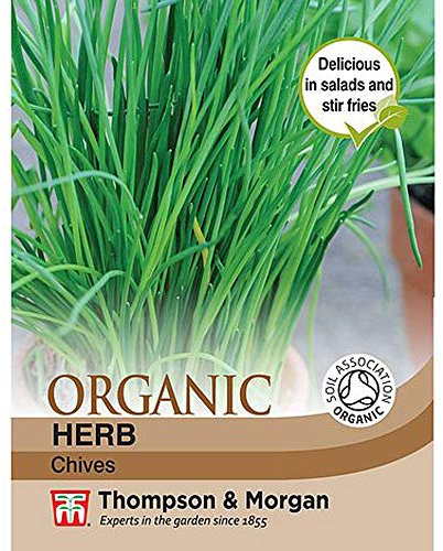 Herb Seeds Organic Herb Chives ‘Staro’ Hardy Perennial Easy to Grow Kitchen Garden Allotment Grow Your own Herbs Organic 1 Packet (350 Seeds) by Thompson and Morgan