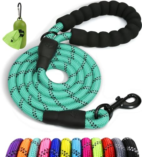 Taglory Correa de Perro, Correa de Fuerte de Perro para Perros Medianos y Grandes con Mango Acolchado Suave y Hilos Reflectantes, 1.5 m x 1.2 cm, Turquesa