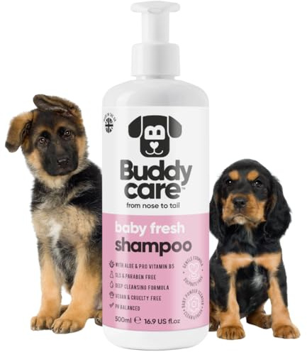 Babyfrisch Hundeshampoo von Buddycare - Shampoo für müffelige Hunde ab 8 Wochen - Baby-Puder-duftendes Welpen-Shampoo mit Aloe Vera und Provitamin B5 (500ml)