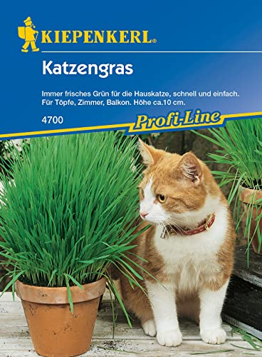 Kiepenkerl 4700 Katzengras (Inhalt: 30 gr), diese Mischung findet bei Katzen eine besonders hohe Akzeptanz, auch für Meerscheinchen und Ziervögel geeignet