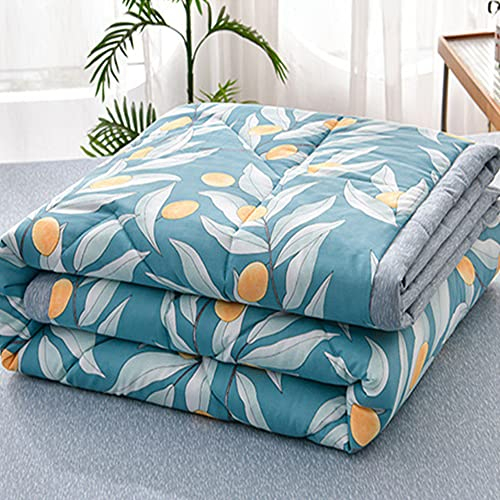 Chickwin Tagesdecke Bettüberwurf Gesteppt, Einfach Blumen Tagesdecke Schlafzimmer Steppdecke Decke Überwurf Wohnzimmer Sofaüberwurf für Einzelbett Doppelbett (150x200cm,Blauer See)