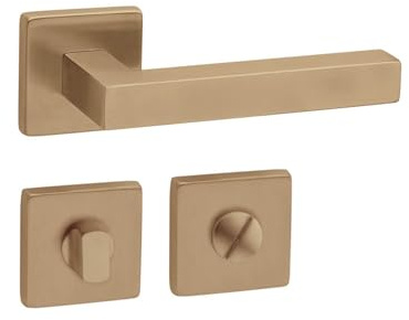 Gedotec Maniglia per porta in ottone spazzolato, 1 set di rosette su rosette quadrate, Karat, WC, bagno, maniglia per porte interne, set di maniglie con materiale di fissaggio, jack antiruggine