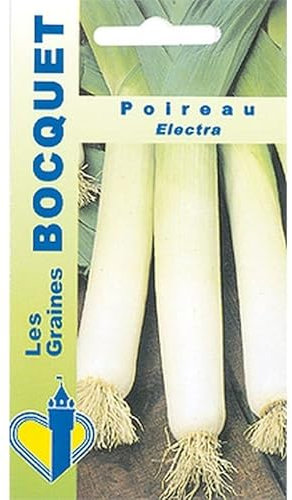 Sachet de graines de Poireau Electra - 3 g - légume bulbe - LES GRAINES BOCQUET