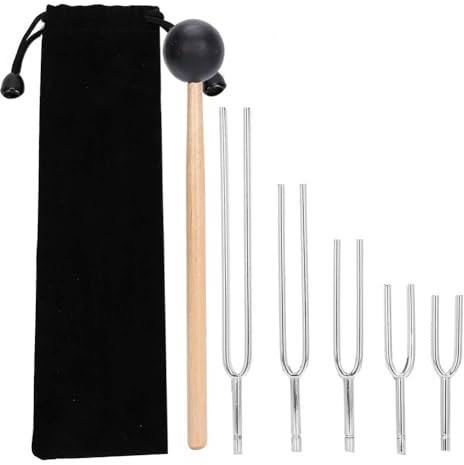 Remingtape stämgaffel klanghelande verktygsset 128 Hz, 256 Hz, 512 Hz, 1024 Hz, 2048 Hz stämgaffel, stämgaffel ljudläkande verktygsset av silver aluminiumlegering