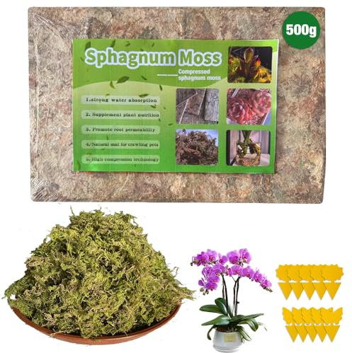 LYPPUL Sphagnum Moos für Pflanzen, 500g Moos für Orchideen, Spagnummoos für Terrarium Blumenerde Zimmerpflanzen, Organisches Torfmoos mit Gelbsticker Trauermücken