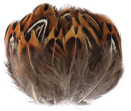 Paon faisan poulet plume en vrac 3-15 cm bricolage artisanat bijoux boucles d'oreilles mariage plume décoration(Orange,20PCS)