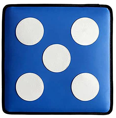 Bersaglio spada da allenamento con copertura in pelle PU, cinque bersagli Bullseye, ideale per adulti e bambini, per pratica di recinzione, materiale resistente anti-pugnalata, 40 cm x 40 cm