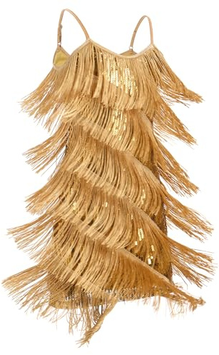 FYMNSI Latin Dance Dress for Girls Ballroom Dancing Outfit V-Neck Sparkly Sequin Tassel Fringed Dresses Dancewear
