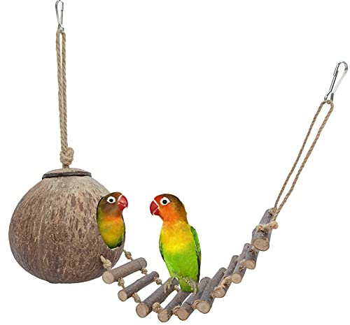 Niteangel Natural Coconut Hamster Hideaway with Ladder, Bird and Small Animal Toy (House with Ladder, Smooth Surface)