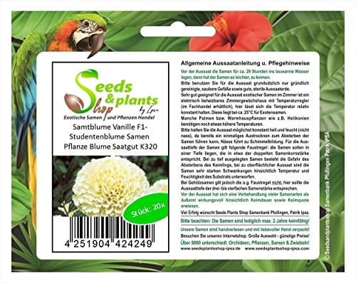 Pcs - 20x Samtblume Vanille F1 Tagètes Erecta Nana Semences Jardin Plantes Graines K320 - Seeds & Plants Shop by Ipsa