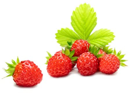 Welldales 50 Mini Alpine Strawberry Seeds Sweet Red Aromatic Wild UK Fruit to Plant