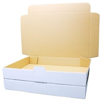 Maxibriefkarton 320 x 225 x 50 mm MB5 WEISS - 200 Stück Warensendung Maxibriefe Maxibriefschachtel dimapax