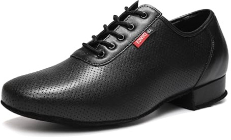 VCIXXVCE Scarpe da Ballo Liscio da Sala Uomo Nero con Lacci Professionali Standard Liscio Salsa Tango Partito Scarpe da Ballo Tacco Basso, 43 EU