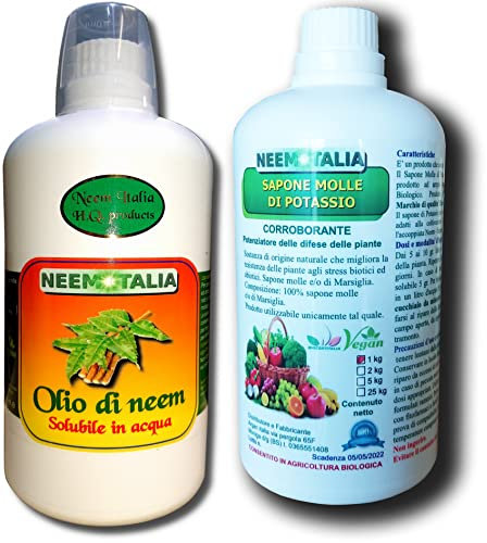 Argan Italia - Olio di Neem e Sapone Molle Potassico per Piante 1+1 Litri, Olio di Neem Solubile Agisce Naturalmente Contro Insetti e Funghi, il Sapone Molle di Potassio Potenzia il Trattamento