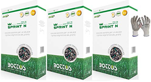 Bottos Sprint N Engrais azoté pour l'exigence nutritionnelle du tapis de pelouse, 6 kg pour 240 m² (2 kg x 3 pièces), avec gants VF Utilia en Nitrile/Nylon*