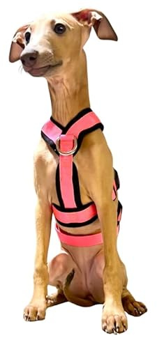 3-Point Anti-Escape, Anti-Pull Harness - Ideal for Sighthounds: Italian Greyhound, Whippet, Greyhound, Podenco - Safe, Breathable, and Durable - Perfect for Walking and Running, Pink, S