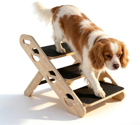 Rampa Per Cani,Scala a Rampa 2-In-1, Adatta Per Scale Per Animali Domestici Di Piccola e Media Taglia, Pieghevole e Antiscivolo, Facile Da Trasportare, Adatta Per Letti, Divani e Automobil