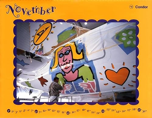 Cartel Rizzi Condor Calendario 1998 Noviembre Bird en Boeing 757 Placa