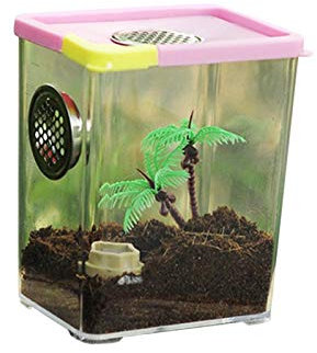 Insect Feeding Box, Acryl-Terrarium-Behälter Für Spinnenechsen-Frosch-Skorpion, Tragbarer Kriechender Haustier-Reptilien-Lebensraum, Anti-Flucht-Design Spinnen Terrarium