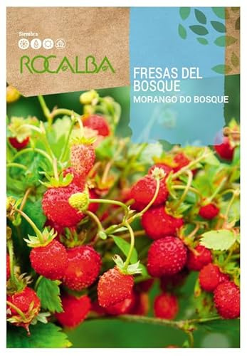 Semilla Fresas del Bosque