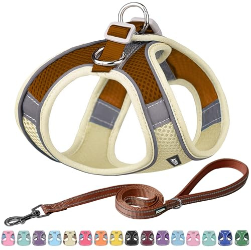 AIITLE No Pull Hundegeschirr, Step in einstellbares Hundegeschirr mit gepolsterter Weste, Hundeleine mit weichem gepolstertem Griff, leicht anzulegen für kleine und mittlere Hunde Beige S
