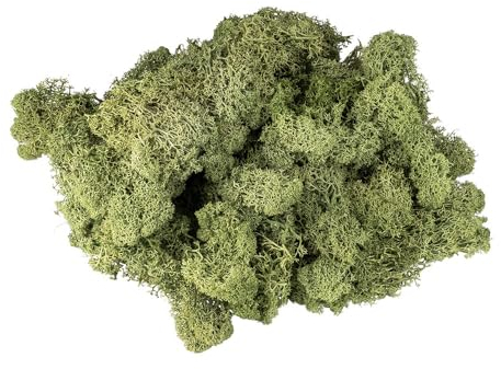 Ideen mit Herz Islandmoos | waldgrün | Deko-Moos | Naturprodukt | 200 g