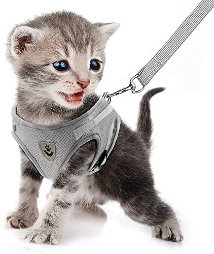 FEimaX Katzengeschirr Geschirr mit Leine Ausbruchsicher Weich Mesh Welpengeschirr Reflektierend Verstellbar Katzen Weste für Kleine Hunde Katzen Chihuahua